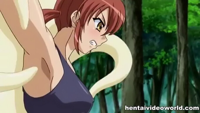 Couples Hentai Anime (18+) Dans Des Vidéos Hd